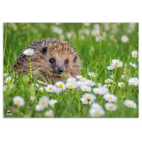Veloflex Schreibtischunterlage Igel Kunststoff 50,0 x 35,0 cm, 1