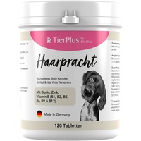 Exvital Haarpracht Tabletten - hochdosiertes Biotin Komplex für Hunde
