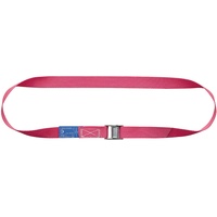 E/D/E Klemmschlosszurrgurt 25mm 2m