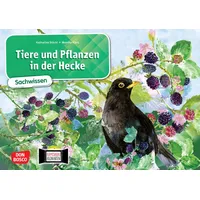 Don Bosco Tiere und Pflanzen in der Hecke. Kamishibai