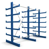 Stier Kragarmregal doppelseitig 2 Felder mit 5 Ebenen 2600x2000x500mm
