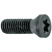 E/D/E Spannschraube für Wendeschneidplatte M2,5x6 T08