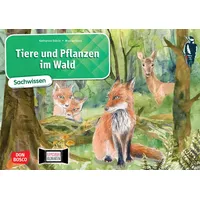 Don Bosco Tiere und Pflanzen im Wald. Kamishibai Bildkartenset