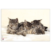 Veloflex Schreibtischunterlage Katzen Kunststoff 60,0 x 40,0 cm, 1
