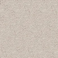 Eurostone Terrassenplatte Feinsteinzeug Padang Cristal Glasiert Matt 100 cm