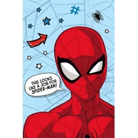 Jerry Fabrics Spiderman Flauschdecke Schmusedecke Kuscheldecke 100 x 150