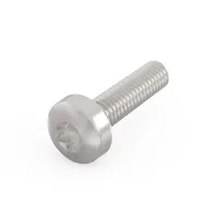 Schroff Linsenkopfschraube mit Torx - TORX-LINSKOSCHR 2,5X14 100S