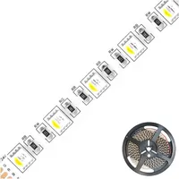 EVN LED-Stripe IP20 5m SB2024150509927