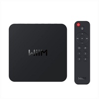 Wiim Pro + Audio Streamer