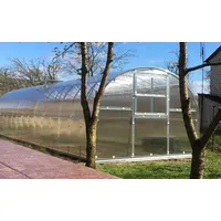 Klasika greenhouses KLASIKA 30 (3x10m) mit fundamenten und 4mm