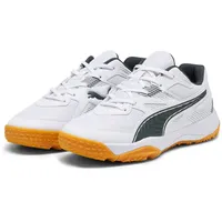 Puma SolarFLASH II Hallenschuhe Kinder 07 white/shadow gray/gum 28