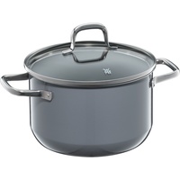 WMF Fusiontec Essential Kochtopf mit Deckel, 20 cm, Calm