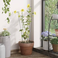 VidaXL Pflanzenstützen 20 Stk. Dunkelgrün 61 cm Stahl