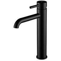 Steinberg Serie 100 Einhandmischer Mattschwarz