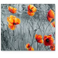 Deqori Herdabdeckplatte Glas | einteilig 60x52 cm | Motiv