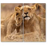Deqori Herdabdeckplatten Glas | 2er Set 60x52 cm |
