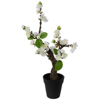 Gasper Kunstpflanze Kirschblütenbonsai TINA, Weiß - Grün - schwarzer