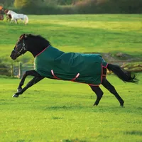 Horseware Rambo Original Turnout Lite 0g - Green/Red