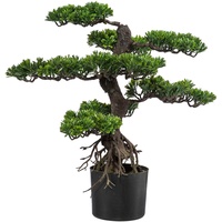 Creativ green Creativ-green Kunstpflanze Bonsai, im Topf, Höhe 65