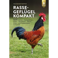 Ulmer Eugen Verlag Rassegeflügel kompakt