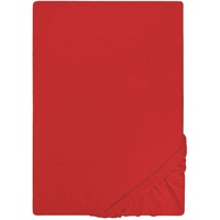 Castell Spannbettlaken Jersey 60 x 120 - 70 x