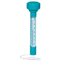 BESTWAY Poolthermometer