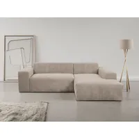 Werk2 Ecksofa »Zeus-L modern und zeitlos, Breite 253cm, bequemes