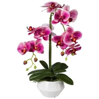 Creativ green Gasper Orchidee Phalaenopsis 52cm, im Keramiktopf, rosa