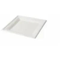 Greenbox - Teller aus Zuckerrohr 20 x 20 cm,
