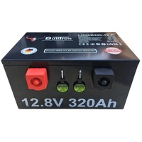 Bulltron Polar 12,8V 320Ah (LI320B300-12-UP)