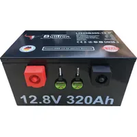 Bulltron Polar 12,8V 320Ah (LI320B300-12-UP)