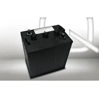 Q-Batteries 6DC-260 6V 260Ah Deep Cycle Traktionsbatterie