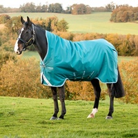 Horseware Amigo Bravo 12 Turnout 250g 155