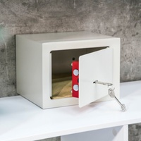 Frankana Freiko Einbau-Tresor, 23x17x17cm