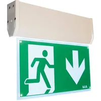 Beg LED-Rettungszeichenleuchte DT32/6/3DALI-LED