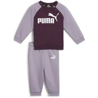 Puma Minicats Ess Raglan Set Pale Plum 12-18 Monate