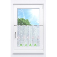PLAUENER SPITZE Scheibengardine Orchideen (Bx H) 80cm - 55cm"