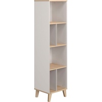 Paidi Regal Fiene, Grau