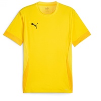 Puma teamGOAL Matchday Jersey