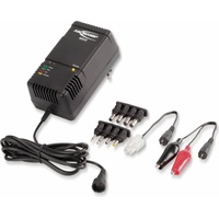 Ansmann ACS110