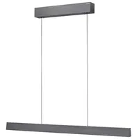 Paul Neuhaus Neuhaus PURE® E-Motion platin grau