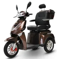 Efun ECO ENGEL 504 Elektromobil 25 km/h 1000 Watt
