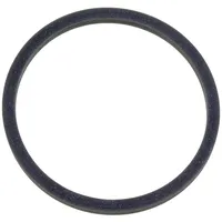 AEG AEG/Elektrolux 4055369369 Dichtung für SB2700 SB2400 SB2500 SB4PS