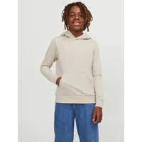 Jack & Jones Junior »JJEBRADLEY SWEAT HOOD NOOS Jnr