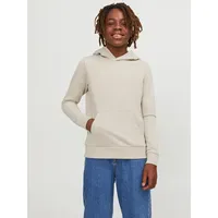 JACK & JONES JUNIOR Jjebradley SWEAT HOOD NOOS Jnr