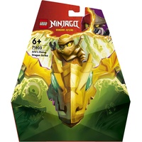 LEGO Ninjago - Arins Drachengleiter