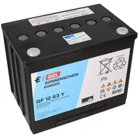 Sonnenschein / Exide Sonnenschein GF 12 063 Y O