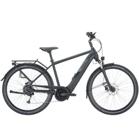 Pegasus Solero Evo 9 - 28 Zoll 625Wh 9K