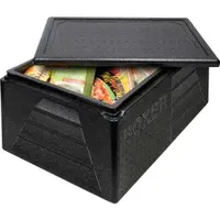 Thermo Future Box Thermobox PREMIUM, 42 Liter, LT0210200 ,