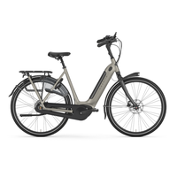 Gazelle Arroyo C8 Elite RT HMB Braun Modell 2025